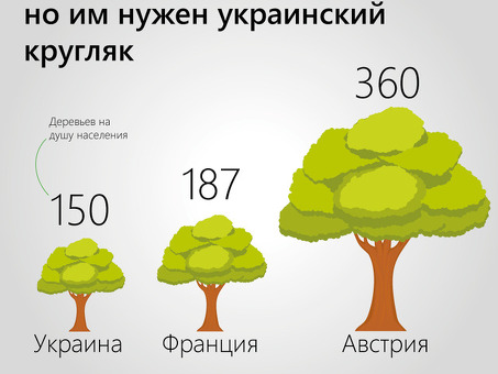 Сколько стоит одно дерево: Понимание ценности деревьев