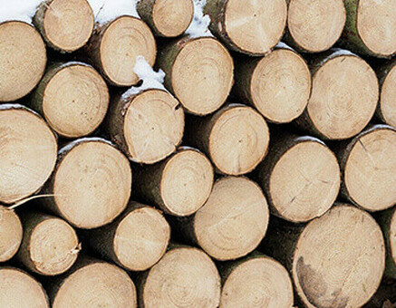 Стоимость древесины для дров за кубический метр