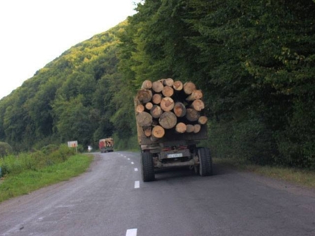Лесные издержки: Понимание цены древесины и изделий из нее