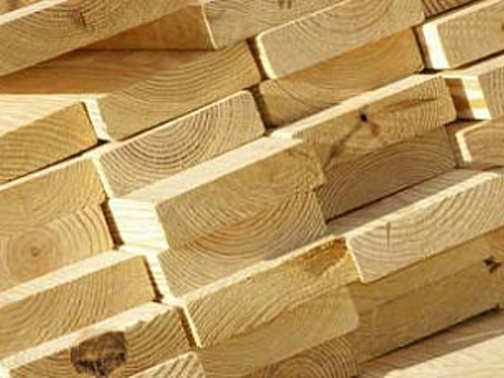 Цены на древесину: Сколько стоит 1 кубический метр древесины?