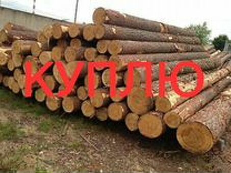 Цена круглого леса за кубометр в России | Актуальные цены