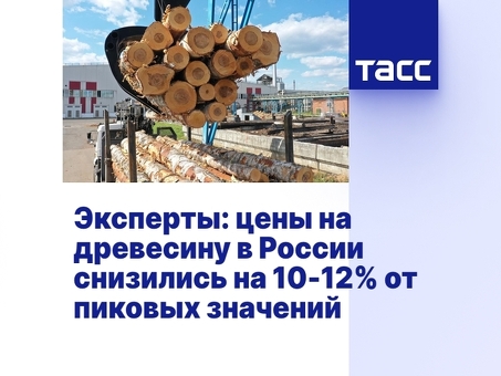 Цены на древесину в России: Текущие тенденции и факторы, влияющие на них