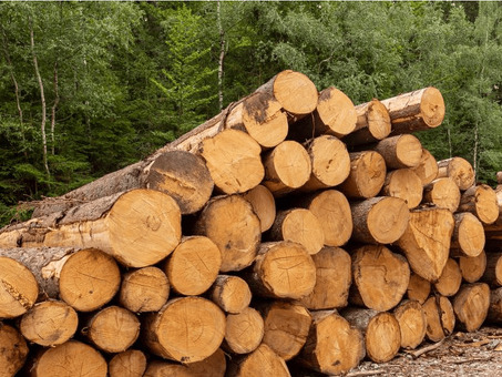 Цены на древесину: как оценить свои расходы