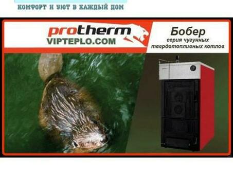 Protherm Beaver 20 DLO: энергоэффективное и надежное решение для отопления