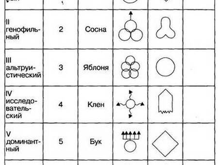 Методика диагностики степени удовлетворения основных потребностей, анализ удовлетворения потребностей.