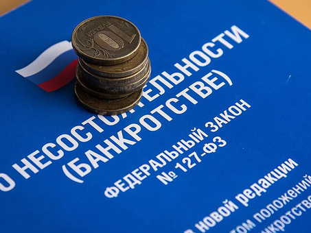 Банкротство физических лиц по Федеральному закону Российской Федерации