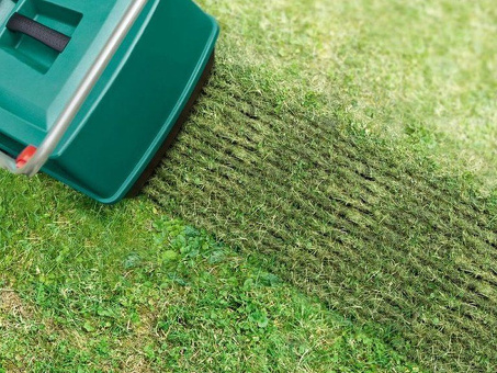 Аэраторы для газонов Bosch: сохраните ваш газон зеленым и здоровым.