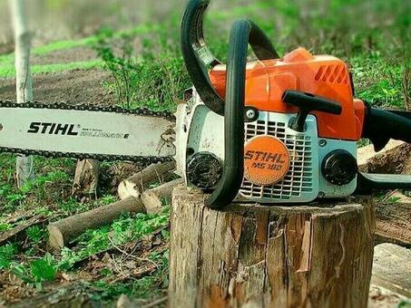 Купить бензопилы Stihl - предложения и скидки Купить сейчас