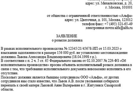 Статья об исполнительном производстве по 65 ФЗ