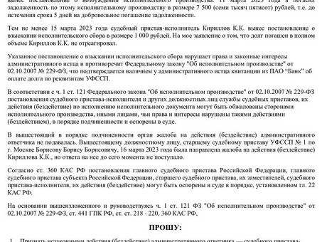 Административное производство по оспариванию исполнительных документов судебного пристава-исполнителя