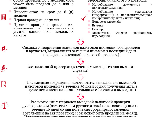 Задача выездной налоговой проверки