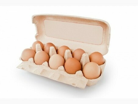 Оптовая продажа яиц: экономьте деньги, покупая оптом