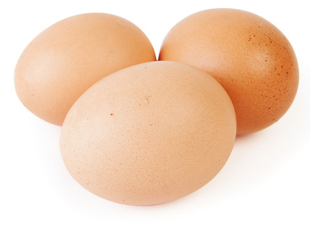 Покупка куриных яиц оптом в Москве: полное руководство