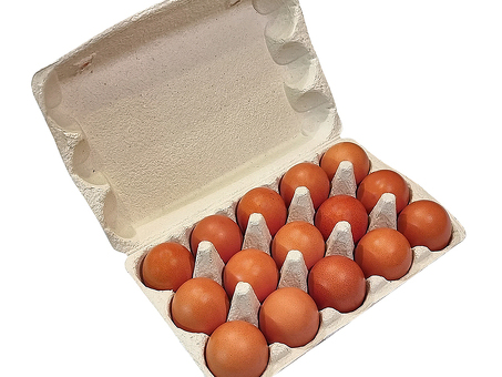 Оптовая продажа яиц: как сэкономить деньги, покупая оптом