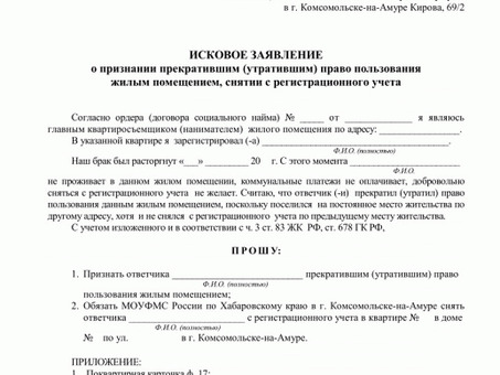 Подача судебного иска: как подать жалобу