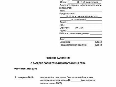 Подача судебного иска: все, что вам нужно знать