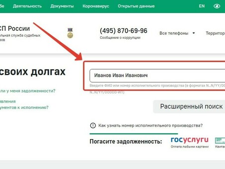 Проверьте задолженность по алиментам онлайн по своей фамилии.