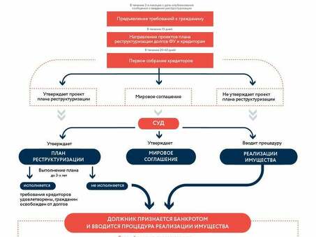 Реструктуризация долгов физических лиц как процедура банкротства