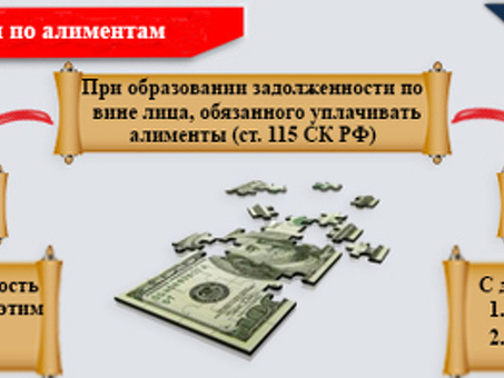 'Принудительное взыскание алиментов: как найти и взыскать невыплаченные алименты'