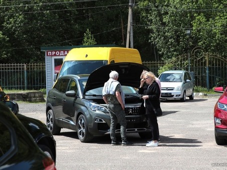 Поиск залогового имущества