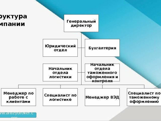 Организационная структура отдела логистики на предприятии схема