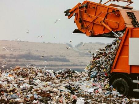 Покупка ООО с лицензией на утилизацию отходов: руководство по открытию экологически чистого бизнеса