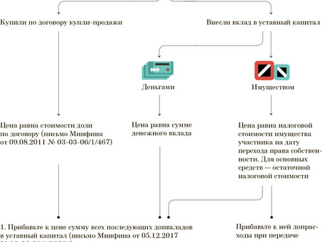 ООО "База Капитал": окончательный путеводитель по капитальной базе в России