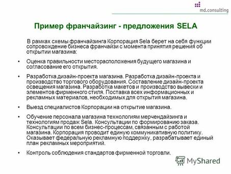 Лучшие франчайзинговые возможности: 'Примеры франшиз' - начните свой бизнес уже сегодня!