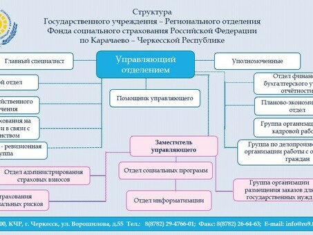 Финансовый директор ФСС - экспертные услуги для вашего бизнеса