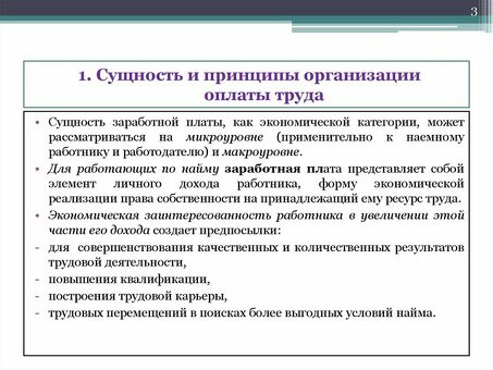 Функции и принципы организации расчета заработной платы | Expert Payroll Services