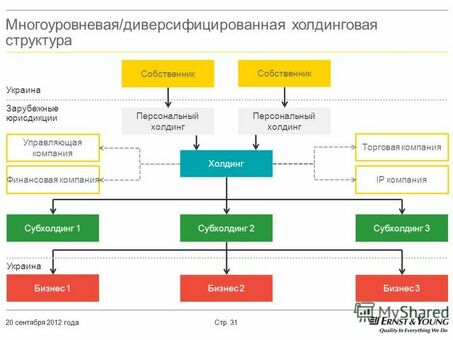 Понимание преимуществ портфельных компаний и их достоинств