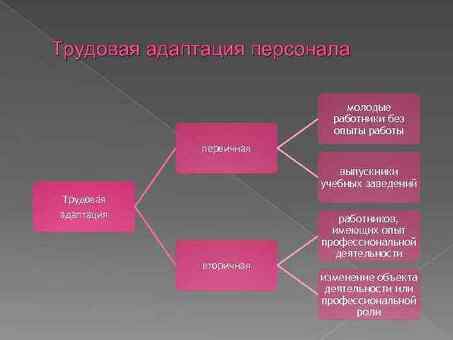 Вторичная цель кастомизации: ускорить рост и успех