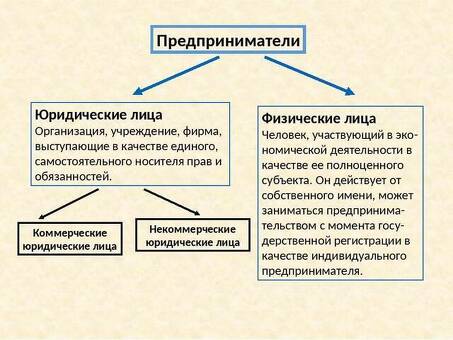 Разница между ООО и индивидуальным предпринимателем: ООО: все, что вам нужно знать