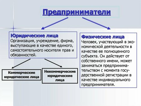 Разница между ИП и физическими лицами: что нужно знать