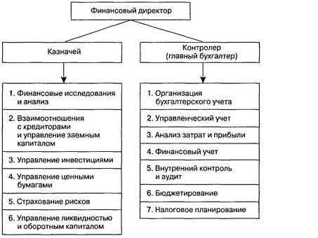 Различия между финансовым директором и ведущим бухгалтером