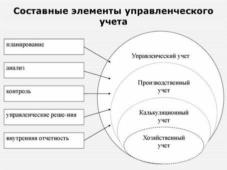 Профессиональные бухгалтерские и управленческие услуги - Специалисты по финансовой информации