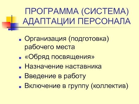 Услуга быстрой адаптации - ускорение вашего бизнеса за счет скорости и эффективности