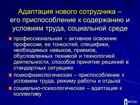 Виды адаптации в организациях - повышение эффективности и продуктивности