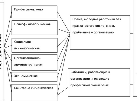 Виды адаптации сотрудников: интеграция: эффективные стратегии для успешной интеграции