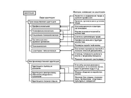 Виды и методы адаптации | Профессиональные услуги