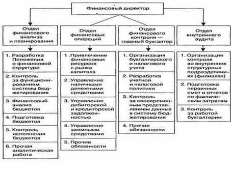 Директор по финансам и экономике: экспертные услуги по управлению финансами