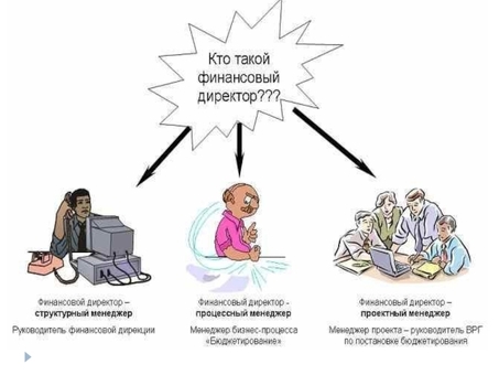 Финансовые услуги Директор Профессиональный финансовый менеджер Финансовый менеджмент