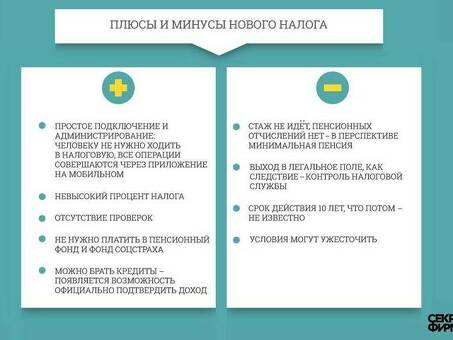 Преимущества и недостатки индивидуального предпринимательства (ИП) или самозанятости