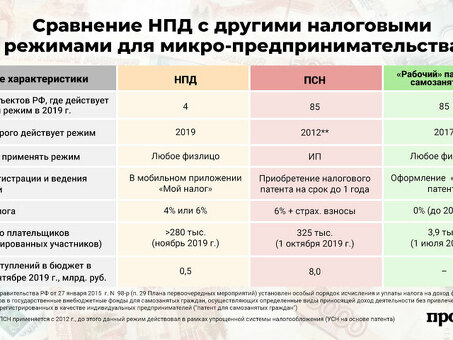 Плюсы и минусы ООО ИП и самозанятости: что подходит именно вам?