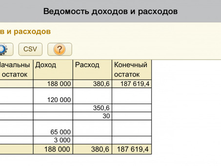 Как вести бухгалтерский учет для начинающих самозанятых