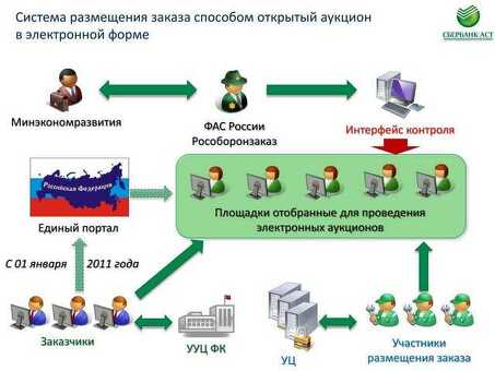 Как работают аукционы: пошаговое руководство по участию в торгах и выигрышу