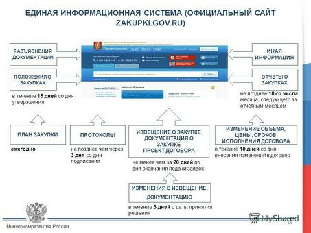 Овладение искусством общения с участниками торгов: советы и рекомендации экспертов