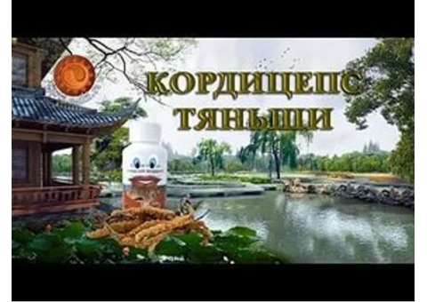 Кордицепс «Тяньши» - это мощнейший антиоксидант, адаптоген и иммуностимулятор.