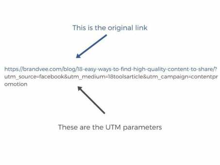 Важность UTM-источников в более масштабной маркетинговой стратегии Main Stripe