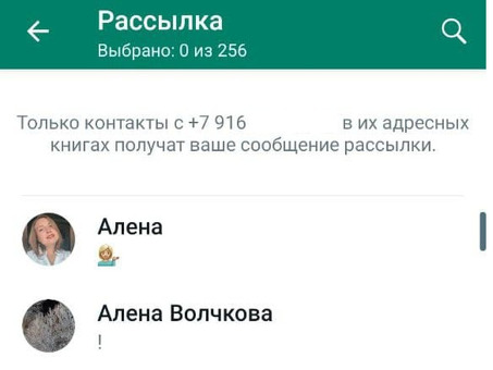 Как создать веб-рассылку Whatsapp